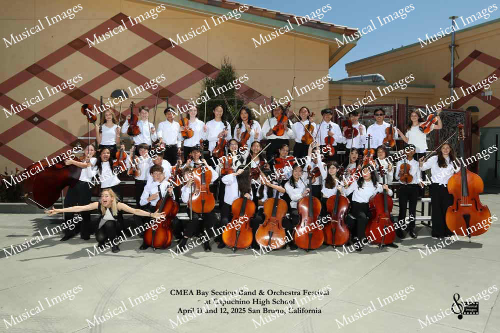 Musical Images